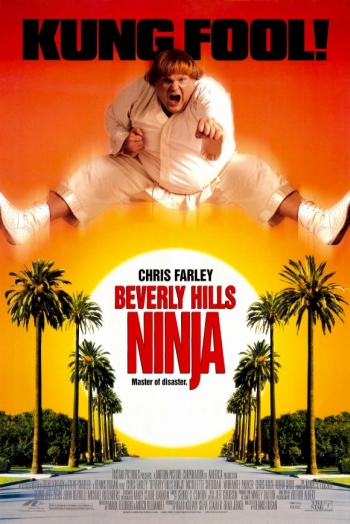 Ниндзя из Беверли Хиллз / Beverly Hills Ninja (1996)