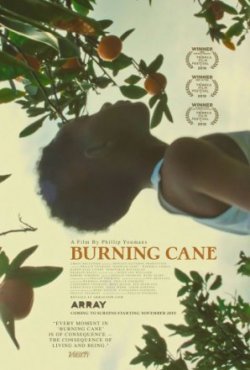Горящий тростник / Burning Cane (2019)